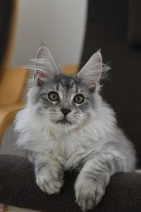 Dsc 0054